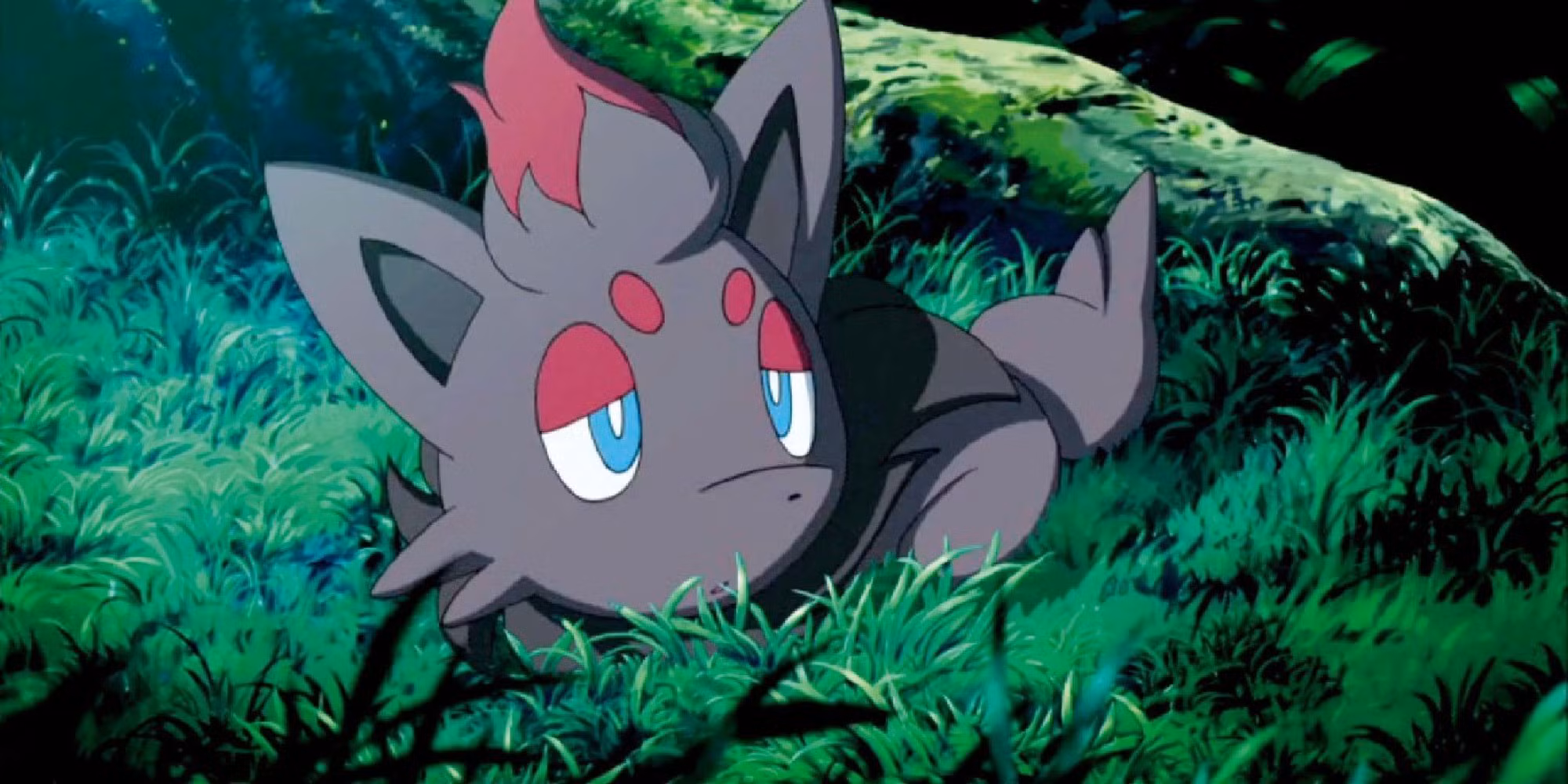 Zorua